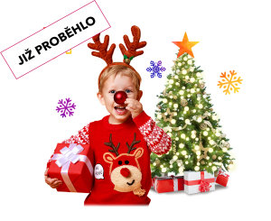 Rozsvícení vánočního stromu
