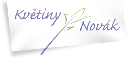 Květiny Novák logo