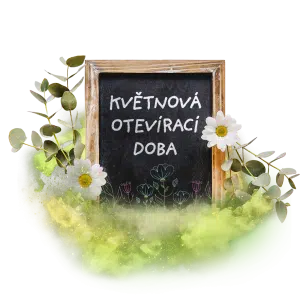 Tabule s nápisem "Květnová otevírací doba" obklopená květinami a zelení.
