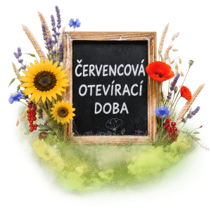 Tabule s nápisem "Červencová otevírací doba" obklopená letními květinami a obilím.